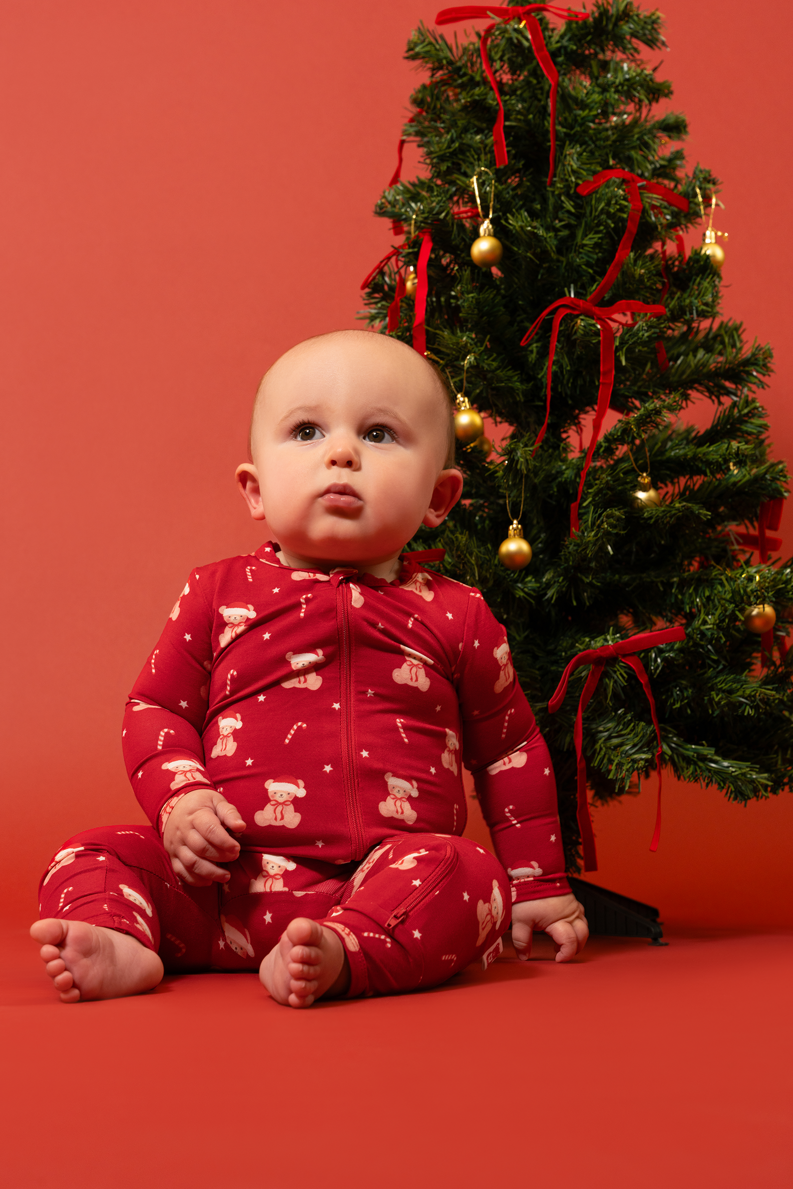 Zippered Romper (Beary Merry)